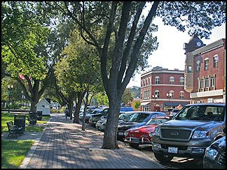 A walk along the park