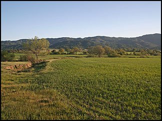 In the Santa Margarita Countryside