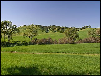 Oaks and Meadows, Chimney Rock Road